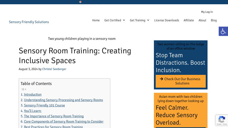 Sensory Room Training: Creating Inclusive Spaces