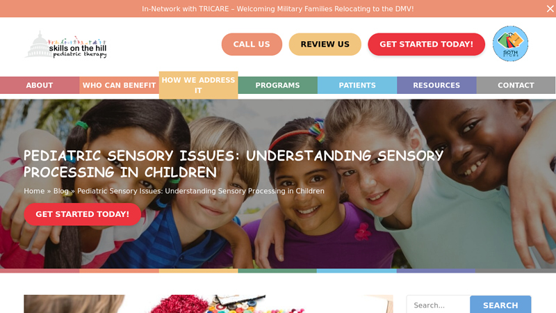 Pediatric Sensory Issues Explained - Skills on the Hill