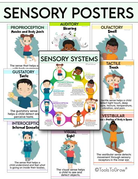 Illustrative image for you can do for sensory training at home?